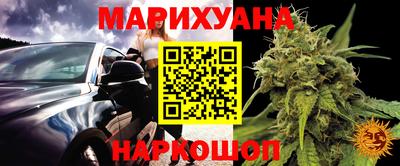индика Анапа