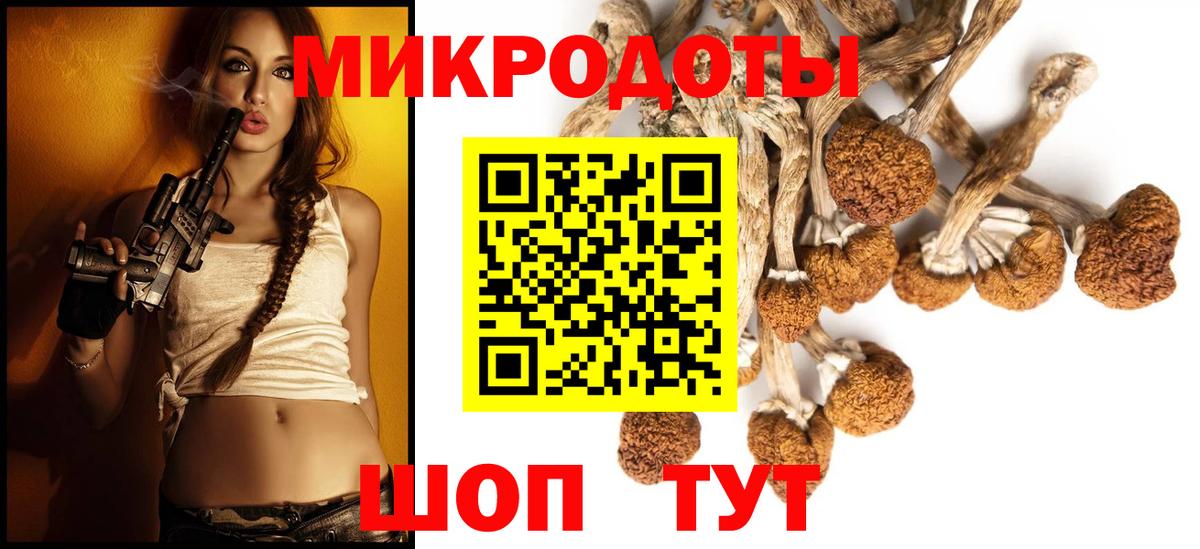 где можно купить наркотик  Галлюциногенные грибы GOLDEN TEACHER  Псилоцибиновые грибы мицелий  Вход с VPN  Богородск 